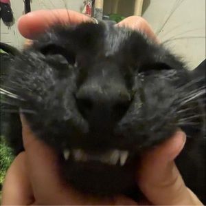 Meet your Posher, Paola